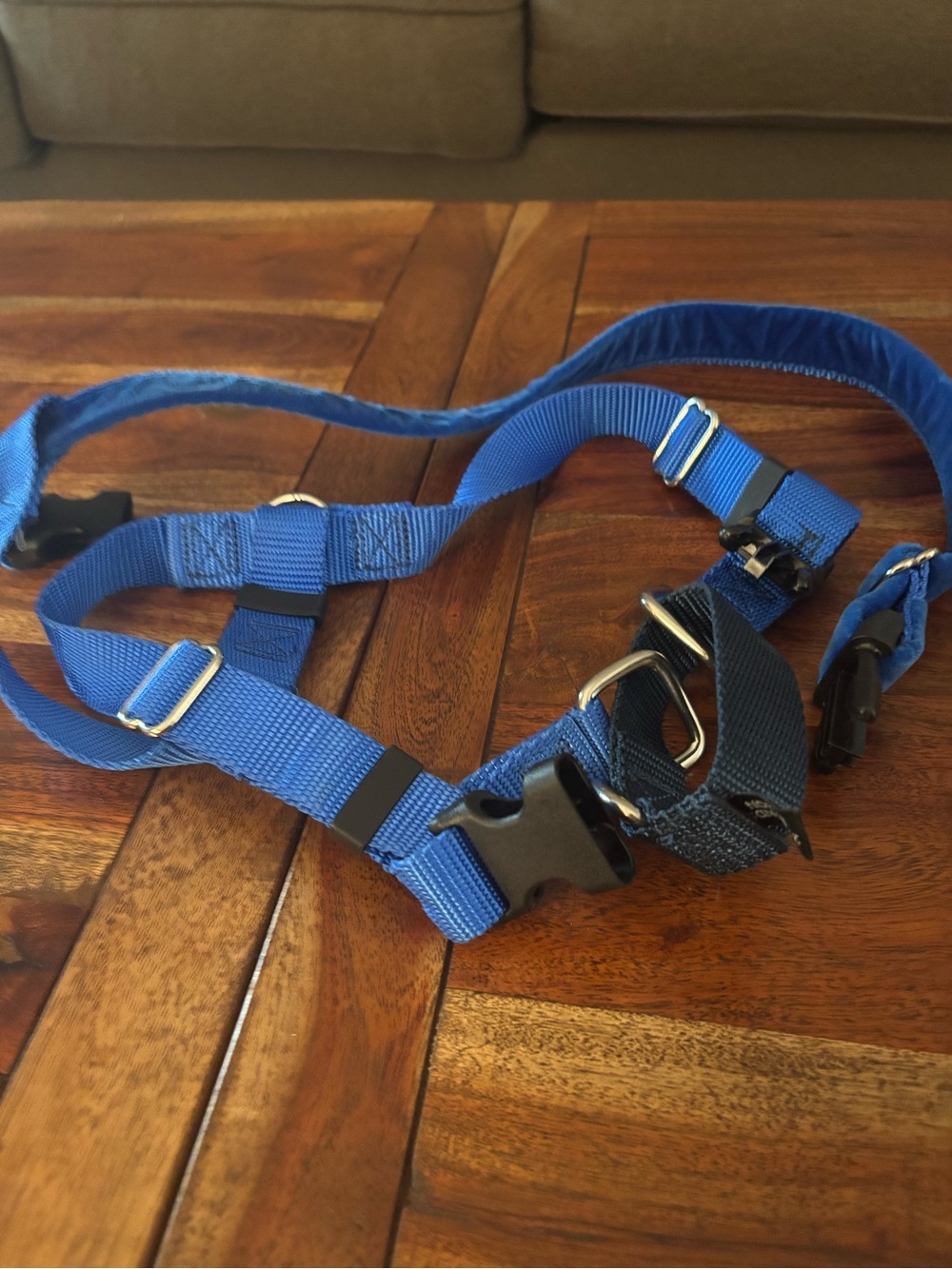 Adjustable Blue Nylon Dog Harness with Quick-Release Buckles